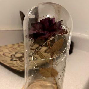 Purple Gold Dipped Rose Under Glass